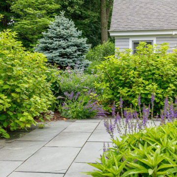 Mature Garden