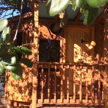 Redwood Temple Treehouse