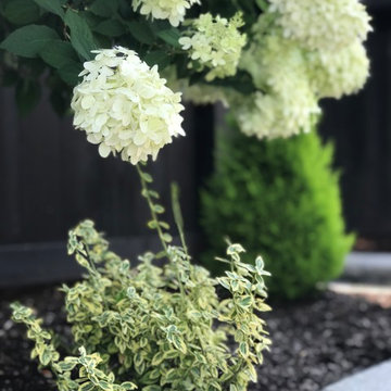 N. Tacoma Craftsman Backyard Remodel