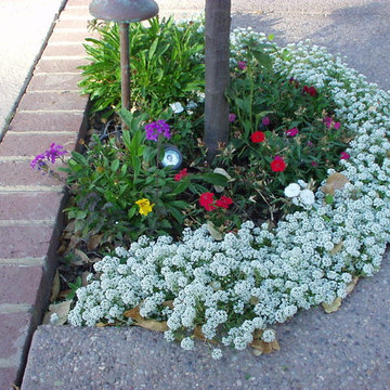 Flower Bed Design