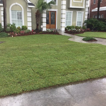 Zoysia sod installation and grading