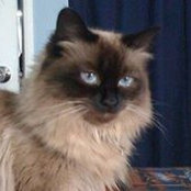 Pamela Davis's photo