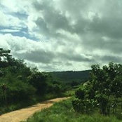 elçin tunçer's photo