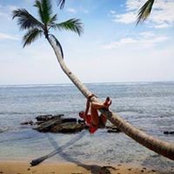 Lara Borgoo's photo