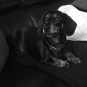 Simon Harris's photo