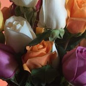 Karen Norval's photo