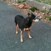 Bruce Mann's photo