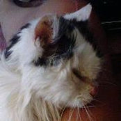Cindy Aultman's photo