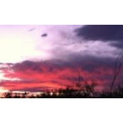 Meaghan Kaminsky's photo