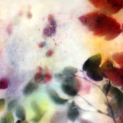 Joyce Gehl's photo