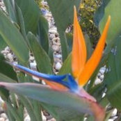 Melissa Proctor's photo