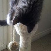 Tammy Wagonis's photo