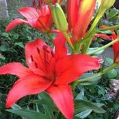 Sharon Denzel's photo