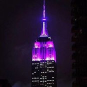 Shannon Bell's photo