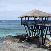Stefania's photo