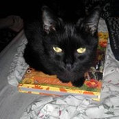 Sonja Phipps's photo