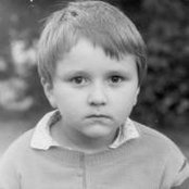 Dmitry Pchelins billede