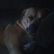 Carlos Molina's photo