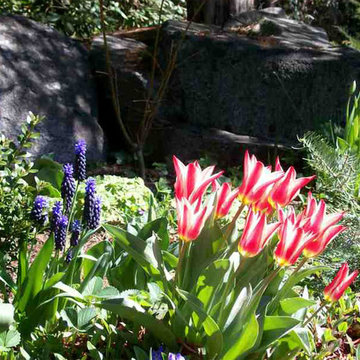 Garden Closeups from EDLA Designs