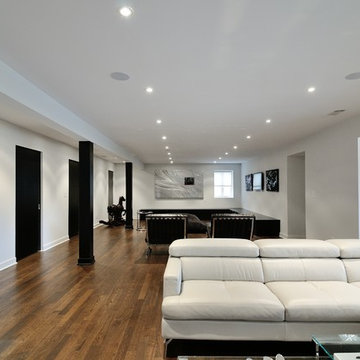 Modern Basement