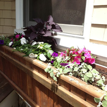 Seasonal Container Plantings & Changeovers