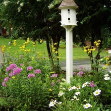 Bird Feeder