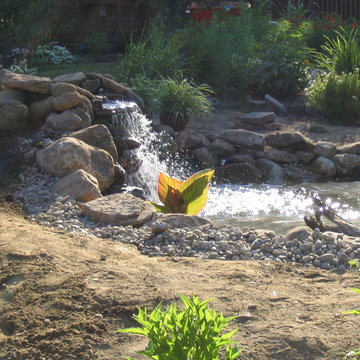 Robinson - Torrington Pond