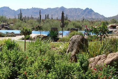 This is an example of a southwestern landscaping in Phoenix.