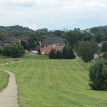 Mowing/Maintenance