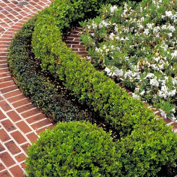 Hedges