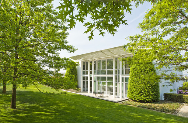 6 ventajas y 6 inconvenientes de plantar césped en el jardín