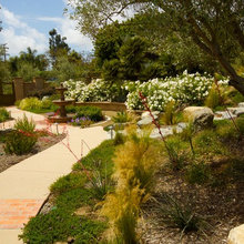 Sonoma Landscaping