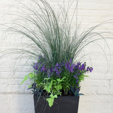 Summer Container Gardens