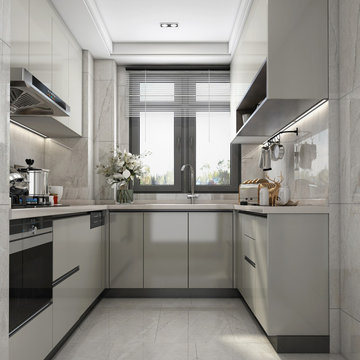 Light Colored Gloss Lacquer Kitchen Cabinet