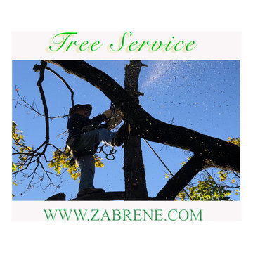 Tree Service