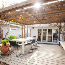 Betsy Backyard