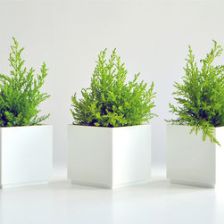 Gift Ideas - Indoor Pots And Planters