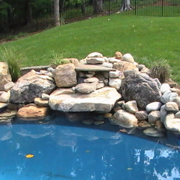 Infinity Edge Free Form Pool Crozet, Virginia