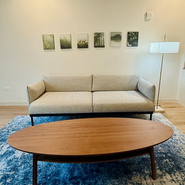 A Design Blitz Miracle — Sol Modern, Phoenix, Arizona.