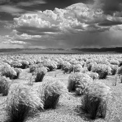 Landscapes - Artwork