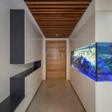 Aquariums