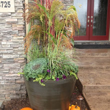 Fall Idea