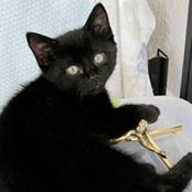 Colette Caputo's photo