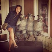 Jenny Chau's photo