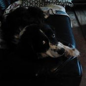 Tami Smith-Irvin's photo
