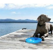 Cindy Gustavsen's photo