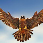 Brian Coats's photo