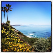 MarisaOC (Zone 10a)'s photo