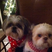 Vicky McCrary's photo