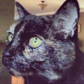 Mallory Folden's photo